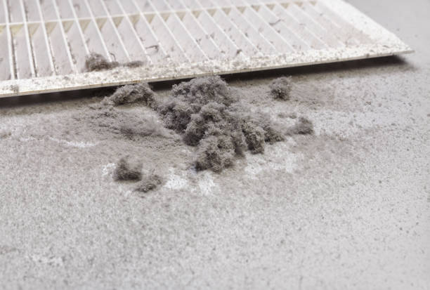 Best Best Air Duct Cleaning Company  in Lton, IN