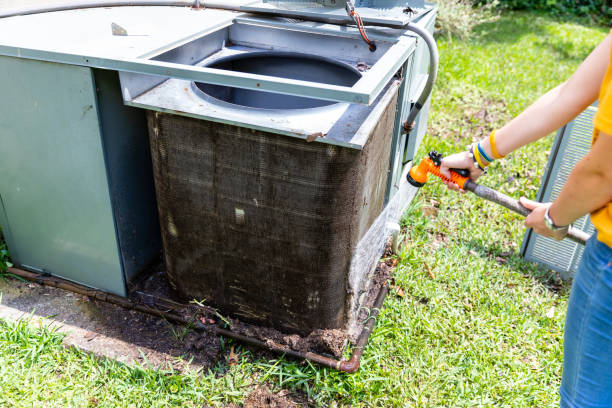 Best Air Duct Mold Removal  in Lton, IN