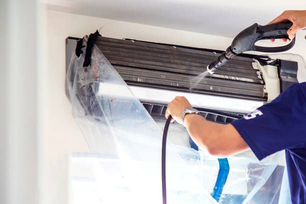 Best Professional Duct Cleaning Services  in Lton, IN