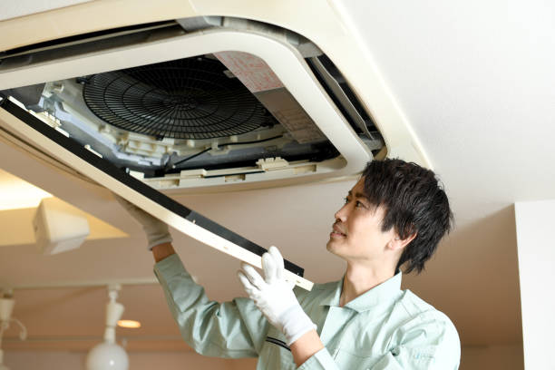 Best Air Vent Cleaning Services  in Lton, IN