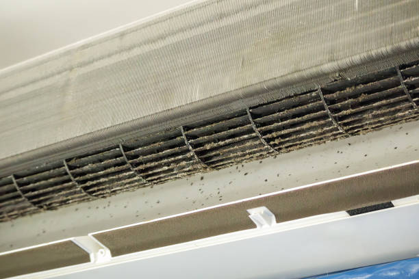 Best Air Duct Cleaning Company Near Me  in Lton, IN