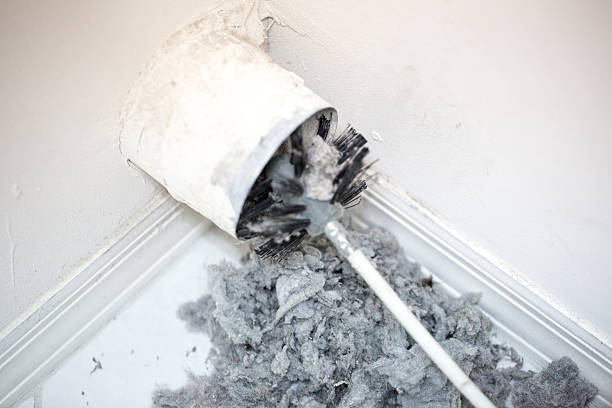 Best Ventilation Cleaning Services  in Lton, IN